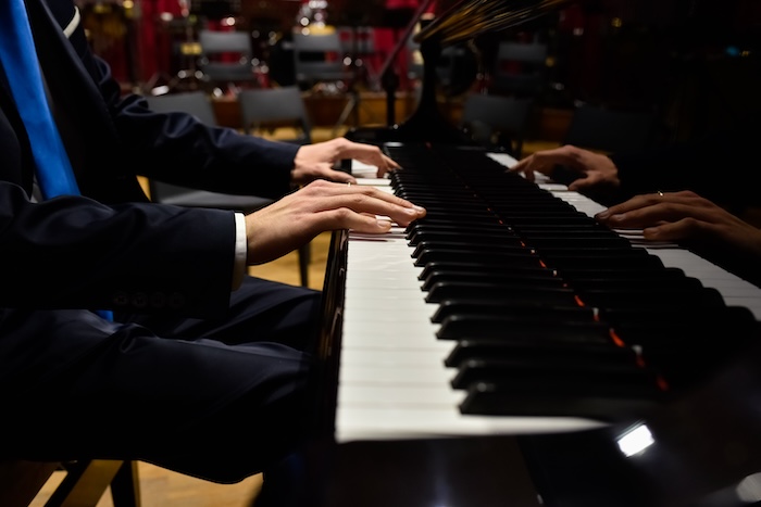 Pianista Artistealo.com