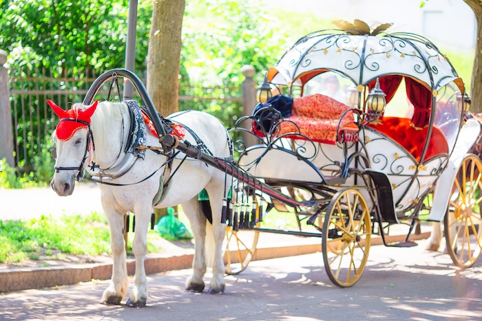 Carroza de Caballos Artistealo.com