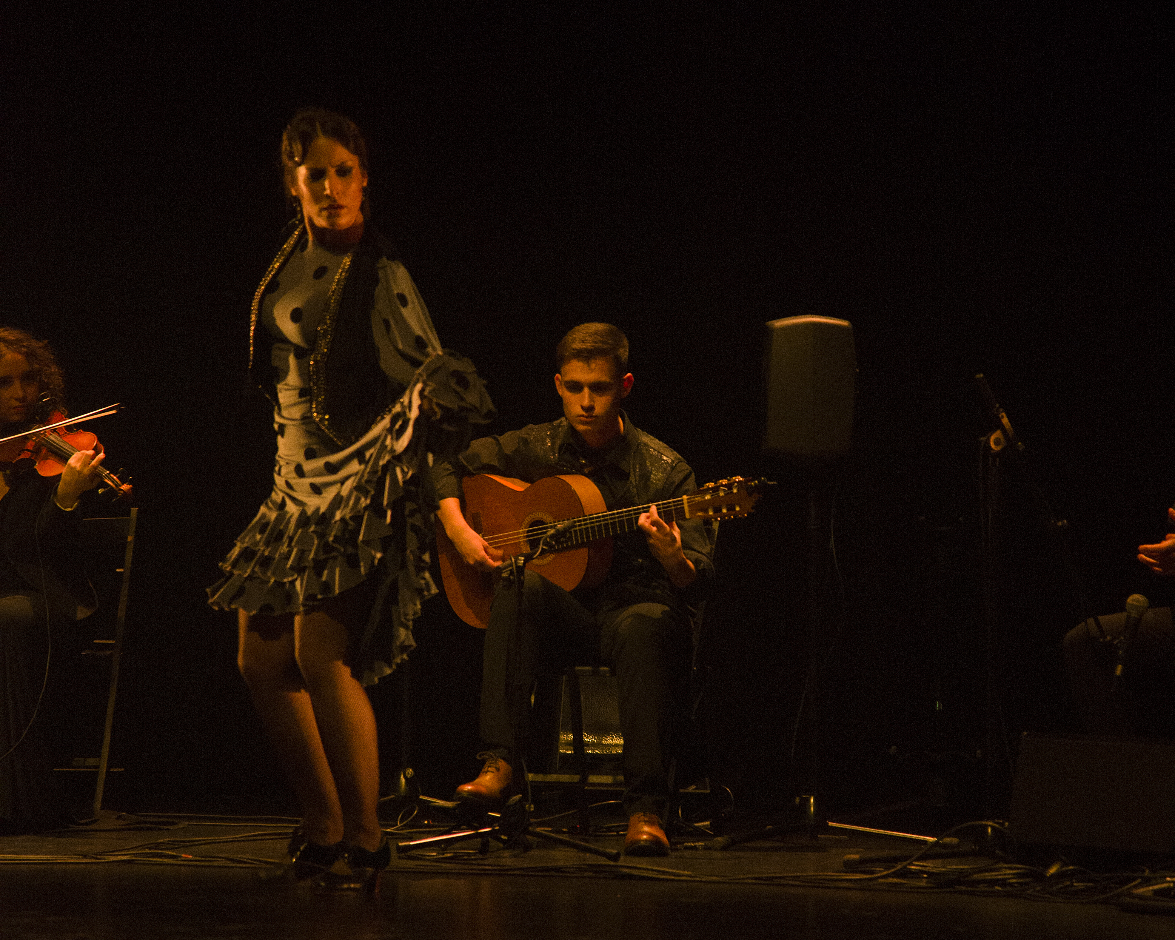 Pedro Rincón - Baile Flamenco