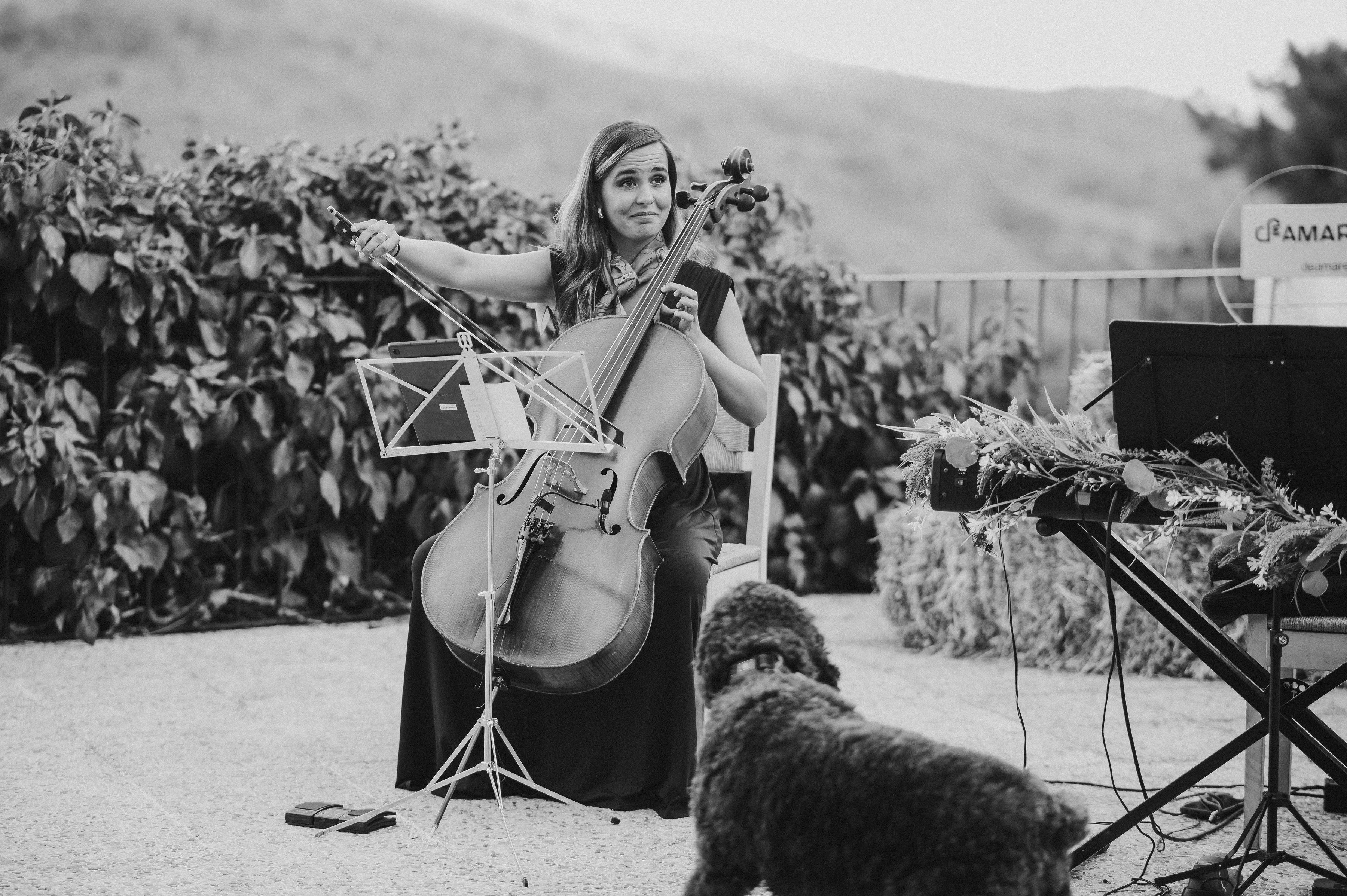 Deamare - Violinista/Cellista