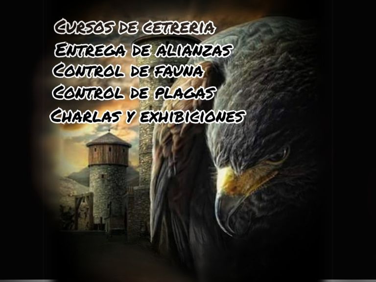 Control de aves