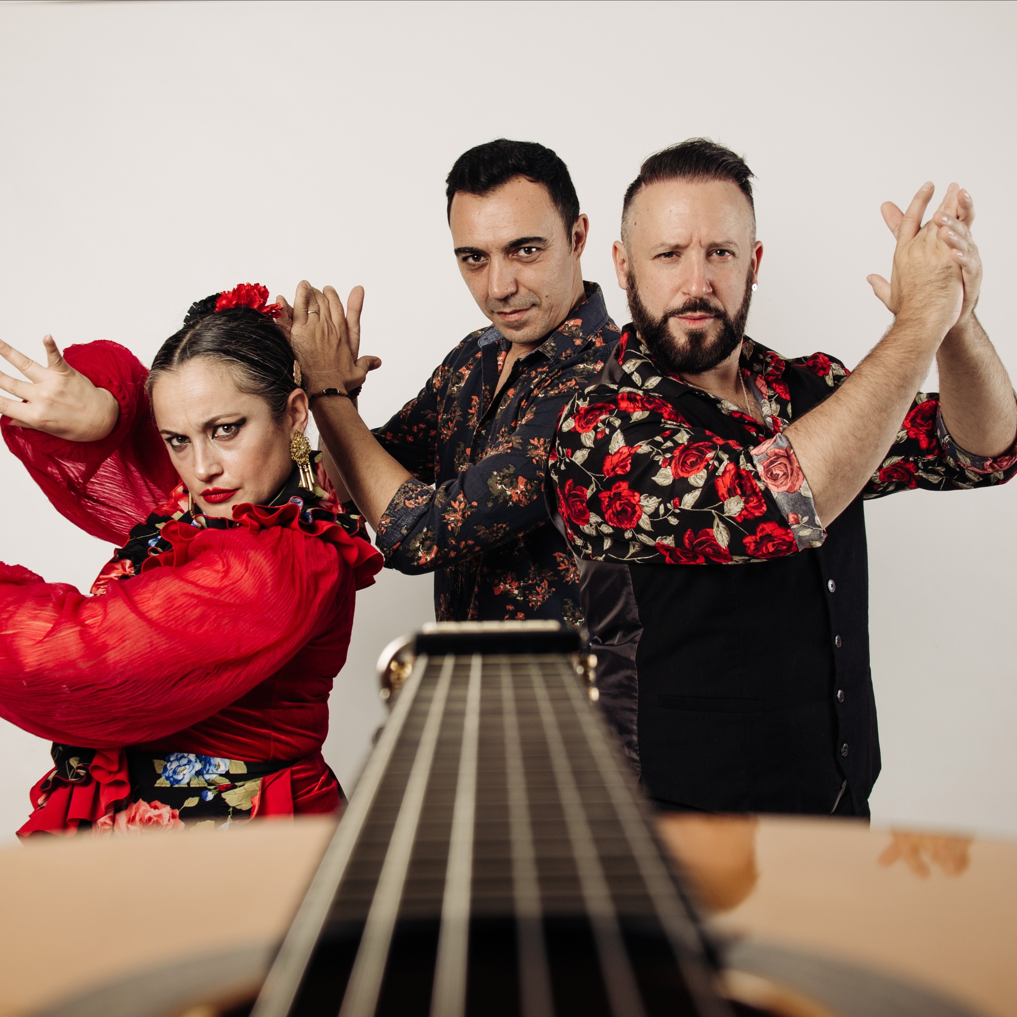 Flamenco Spanish
