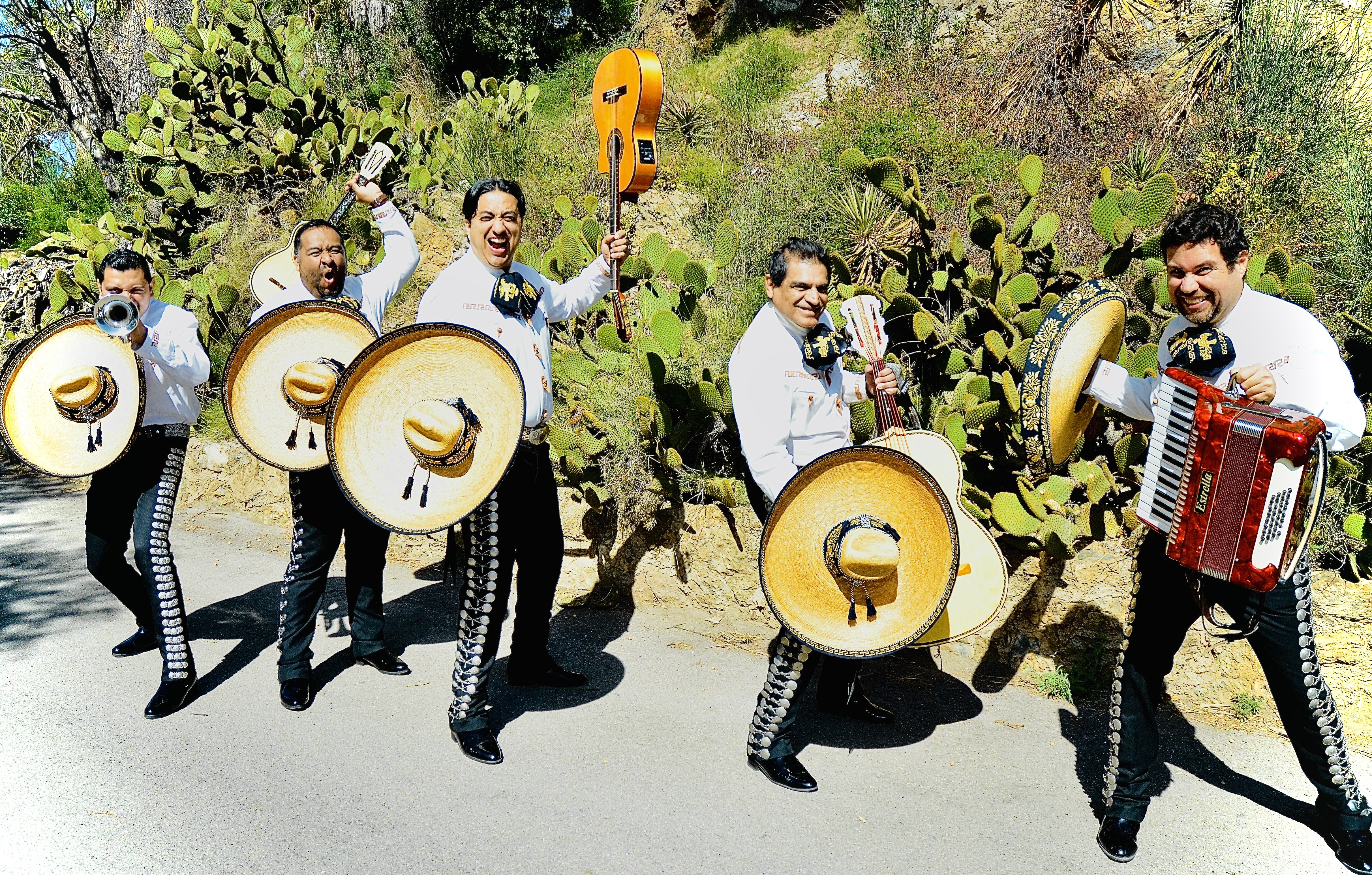 Mariachi México Folclórico