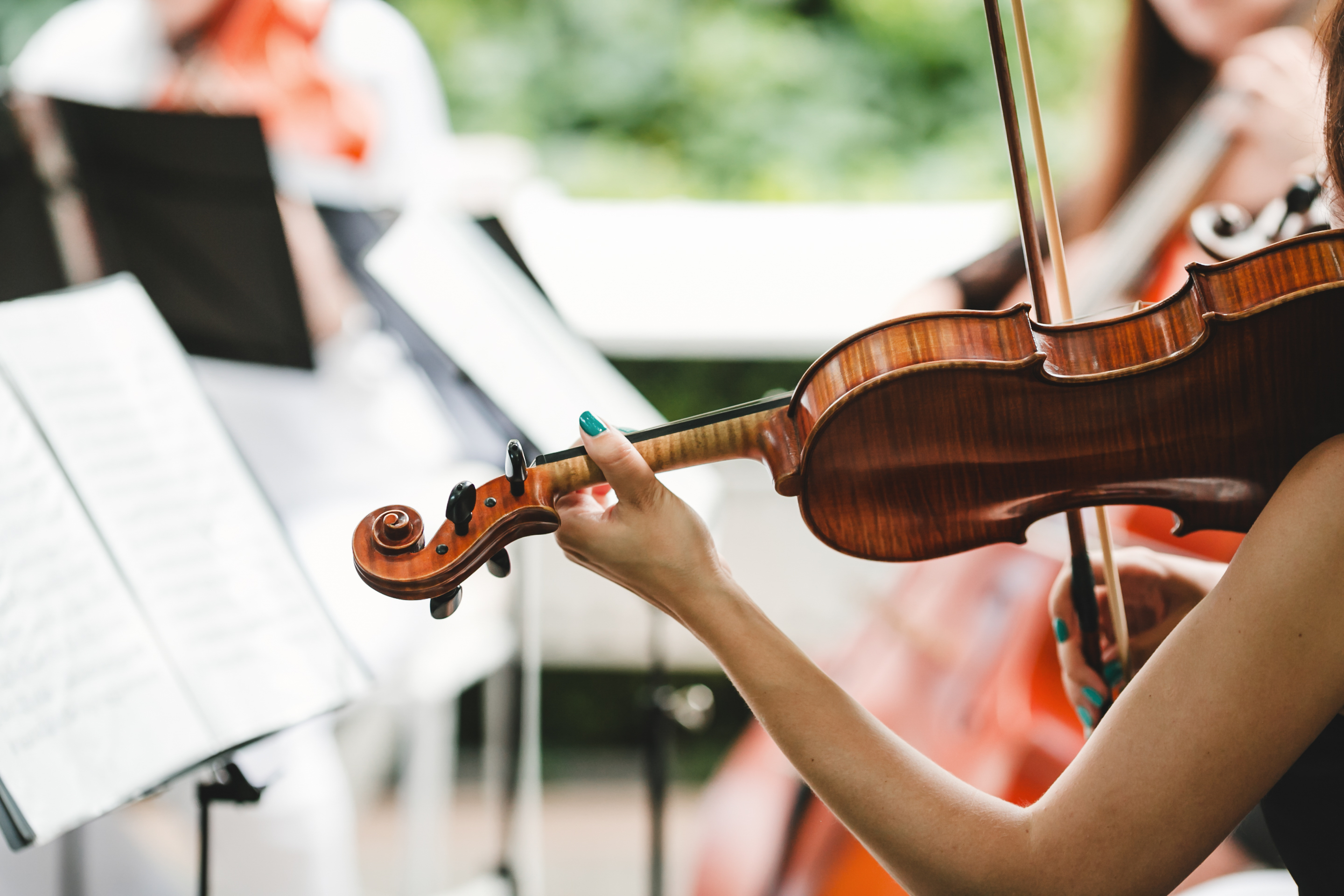 TARANTELA MÚSICA A LA CARTA
